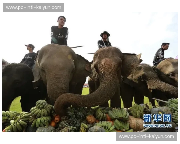 开云体育泰国访问：开启东南亚体育新纪元